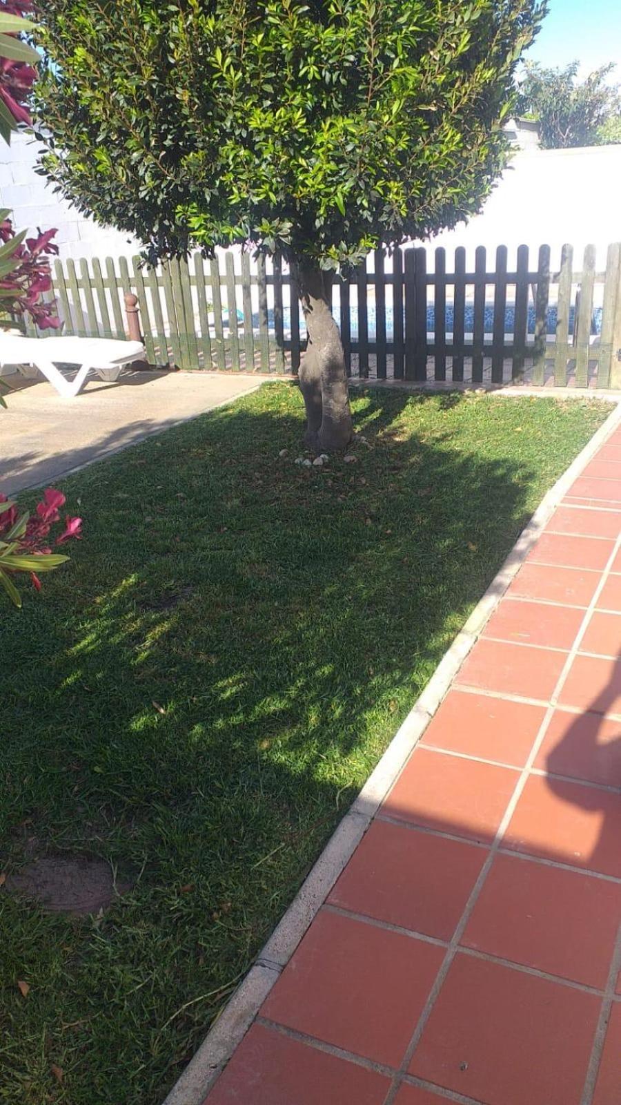 Bellavista De Conil Villa โกนิล เด ลาฟรอนเตรา ภายนอก รูปภาพ